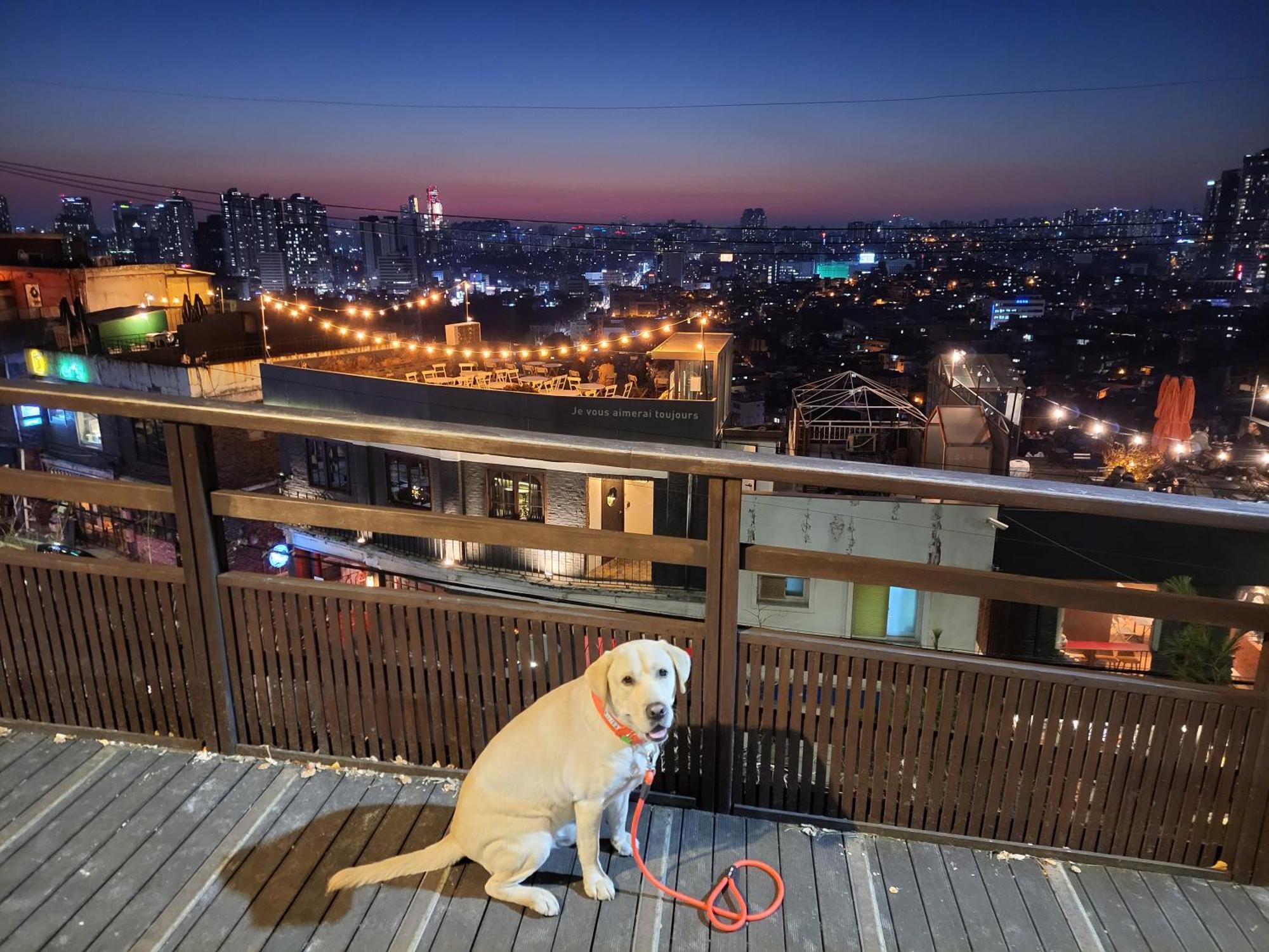 Newly Renovated 2 Bedroom Apartment #7 Seul Exterior foto